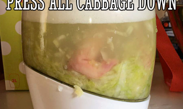 Sauerkraut Like a Boss